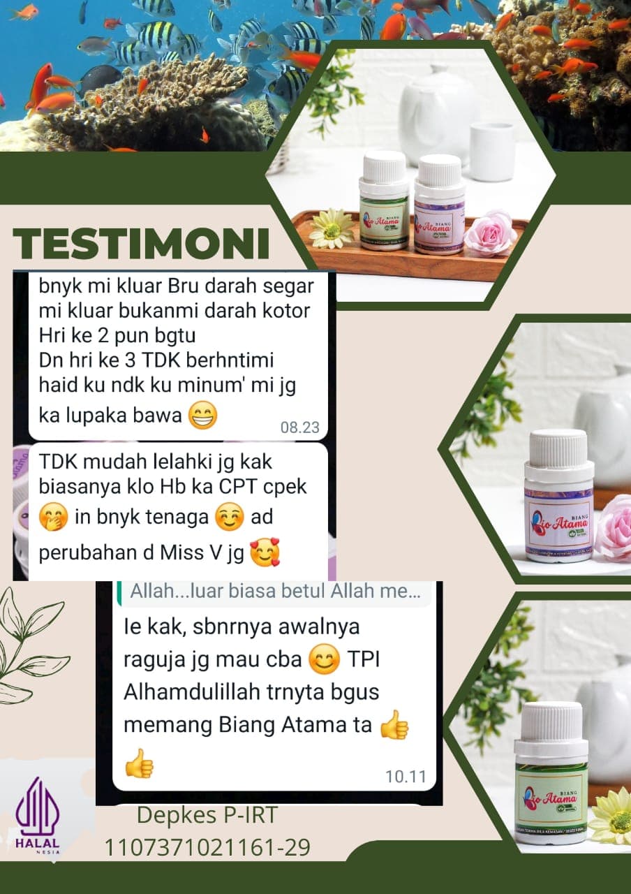 Testimoni 2